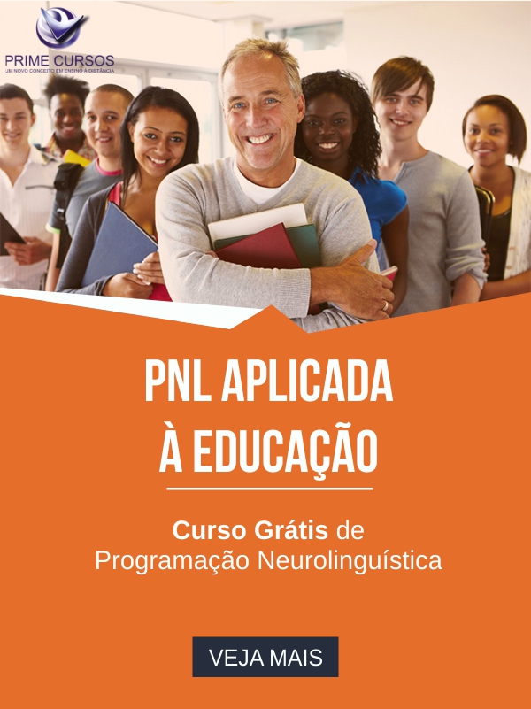 13 - PNL aplicada