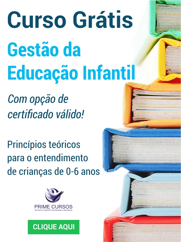 17 - Gestao Edu Infantil